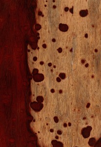 paduk wood grain