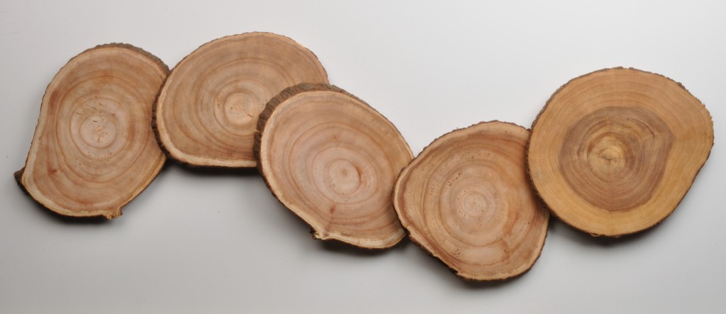 wood sections for modern coffee tables