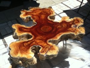 carob tree coffee table with hairpin legs