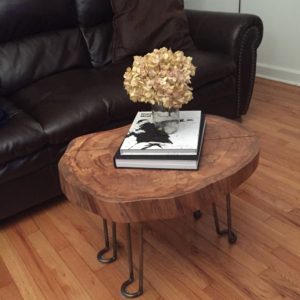 bryans tree section coffee table with hairpin legs